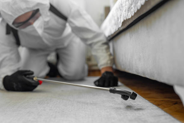 Professional Cockroach Control technician working in Palisades Park, NJ