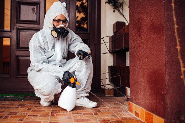 Reliable Cockroach Control contractor in Palisades Park, NJ by Nex Pest Control