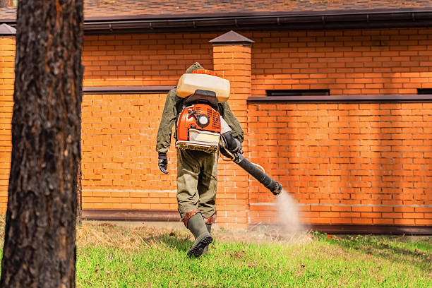 Trusted Cockroach Control service in Palisades Park, NJ - Nex Pest Control
